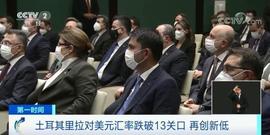 狗狗币:汇率一天狂跌15%、面粉价格涨至3倍!货币全世界表现最差!面包快买不起了_比特币行情走势k线图