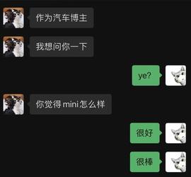 420:16年前的MINI，竟然还能卖30多万人民币？_Gemini染染在一起多久了