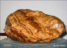 MED:价值连城的“金香玉”之谜_PARK