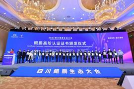 TOP:成都链安链必追虚拟货币案件智能研判平台V2.0获华为鲲鹏技术认证_科技股