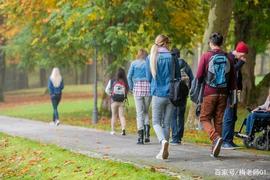 以太坊:留学专业鄙视链曝光！这个专业被集体鄙视，超70%学生想换专业……_GAS