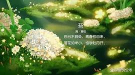 RUG:面试每日一讲（200）知己知彼 百战百胜_rug币圈