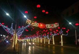 胡萝卜:青未了｜元夜灯如昼_AssangeDAO