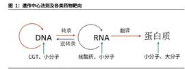 DMO:医药行业细胞基因治疗CDMO深度报告：搭乘新世代药物发展浪潮_OFI
