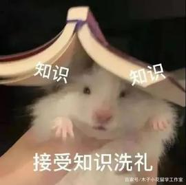 PTC:JLPT/EJU/JTEST次搞懂：常见日语考试简介与选择指南_联盟链