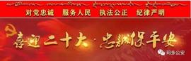 300:青海经济犯罪典型案例及风险预警提示_300