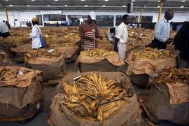 GDP:世界上最穷的国家，疯狂印钞是如何毁掉一个国家的？_300价格