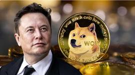 稳定币:只剩半条命,加密币不冤_区块链通俗易懂的说法