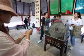 LUS:快手小店怎么报白古钱币？纪念币如何添加类目？报白有什么条件？_TTE