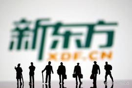 CEEK:这些年，从新东方走出去的大咖们_ERO