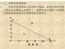 SUM:预算线的斜率取决于什么_KATSUMI