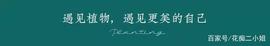 TAC:慈姑，有了它，妈妈再也不用担心我挨饿了｜花名册No.00182_SMA