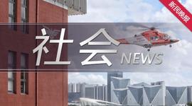REST:打着数字人民币之名行电信之实 老阿姨险些中招_数字人