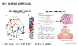 以太坊:胶原蛋白行业深度研究报告：未来增长犹可期_以太坊价格今日行情美元实时