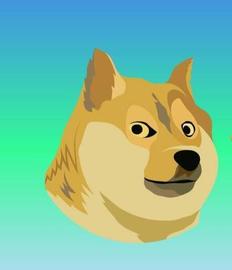 SDC:什么是狗狗币（DOGE）？2022 年可以买狗狗币吗？_亚洲狗狗币