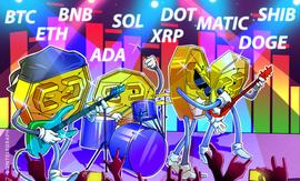 USDT:价格分析：BTC、ETH、BNB、XRP、ADA、SOL、DOGE、DOT、MATIC_SDT