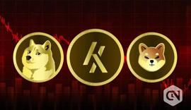 DOG:狗狗币（DOGE）和柴犬（SHIB）处于亏损状态时投资的顶级加密货币_狗狗币能涨到5万美刀吗视频