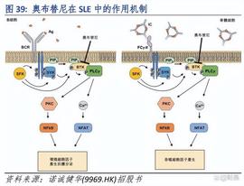 NTR:诺诚健华：小分子药物创新药企，拥有潜在同类最佳的BTK抑制剂_MAT