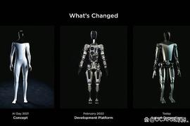 DAY:特斯拉机器人即将发售？约15万人民币你买不_Raider Token