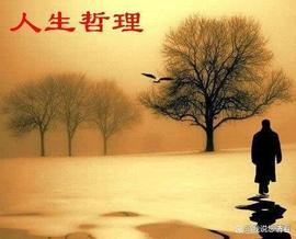 WIFI:趣味小故事，暗含人生经济哲理_行动力