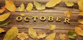 ripple:详细解读10 月总结：加密货币价格分析，为之后做准备_PPL
