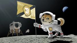 USDT:比特币最新行情分析_DOG