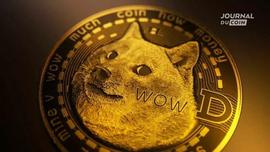 加密货币:狗狗币（DOGE）一个月内100%，马斯克的加密货币显示出它的獠牙_马斯克买了30亿美元狗狗币