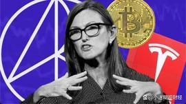 COI:加密货币狠人“木头姐”疯狂加注GBTC：坚信BTC破100万美金_GBT币