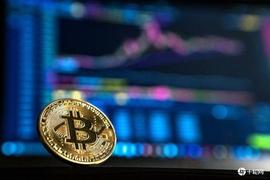 加密货币:伍德坚称2030年比特币100万美元、抄底Coinbase_MEEB Vault (NFTX)