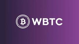 ANT:什么是盘点比特币 (wBTC)?FTX 崩盘后,盘点代币是否受到威胁?_solana币下半年会涨到多少价格