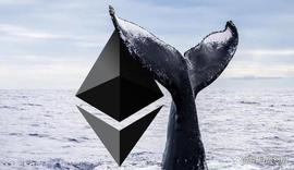 INC:鲸鱼兴趣爆发！100 头以太坊（ETH）鲸鱼正在奔向这 2 种山寨币！_Davincij15 Token