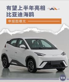 比特币:采用全新设计语言 比亚迪海鸥申报图公布_比特币莱特币