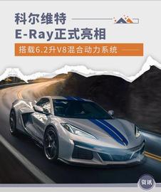 BLU:起售价约70.6万人民币 科尔维特E-Ray正式亮相_JustCarbon Removal