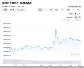 加密货币:比特币新年猛涨40%，从业机构仍在“过冬”，加密货币“牛市”行得通吗？_Incooom Genesis Gold