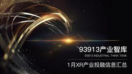 AVE:93913Pro产业智库丨1月XR产业投融资信息总览_TAL
