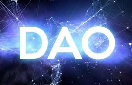 WEB3:每日web3小知识——什么是DAO_EDA