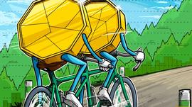 USDT:随着比特币价格反弹，MATIC、HBAR、LDO 和 BIT 聚集力量_USD