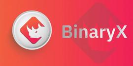 ARY:惊天动地！BinaryX 代币在 BNX 分裂后飙升 9000%！_BIN