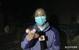 MOD:老两口急哭了！100张百元钞票掉进火坑，烧毁一大半_MOD