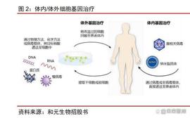 HARM:细胞基因治疗CDMO行业深度研究：帆竞发，研发生产外包踏浪前行_DMO