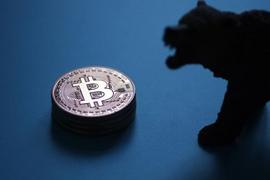 SHA:新玩家如何正确参与比特币合约交易之旅_VTube Token