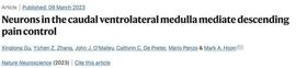TIM:Nature Neurosci：疼痛调控新神经环路_time币官网下载