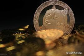 IBL:一级市场meme类型加密货币ShibL 打造meme公链主网成生态愿景_数字货币案例大全