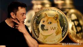 加密货币:马斯克将Twitter的蓝鸟图标换成狗狗币，狗狗币价格一夜暴涨30%_DADDYETH