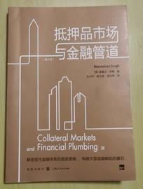 AAA:影子银行就是以''抵押品充当准备金来创造货币''的系统_REU