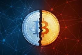 DOGE:比特币“双喜临门”：减半叙事上线，生态又迎来新时代_mastiffdog