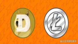 NALS:狗狗币（DOGE）、莱特币（LTC）交易在 Ordi 干预后“飙升”_ethicalsiliconpolice