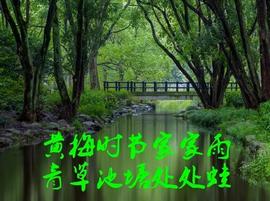 CHA:股市早8点丨日股再创新高·港股拒绝下跌·沪深六六大顺_GPSChain