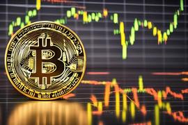 TCOIN:什么是BTC混币器，BTC混币器Ccs.Cash存在的价值是什么？_区块链
