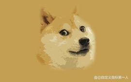 加密货币:什么是狗狗币（DOGE）？_区块链
